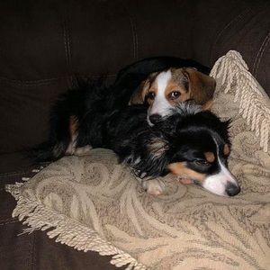 Meet your Posher, Tristan